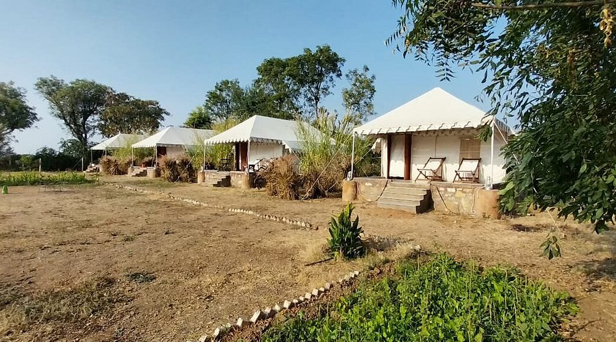 Jawai Camp
